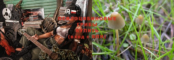 амфетамин Ельня