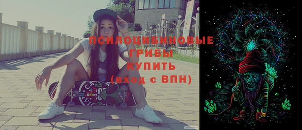 соль ск Елабуга