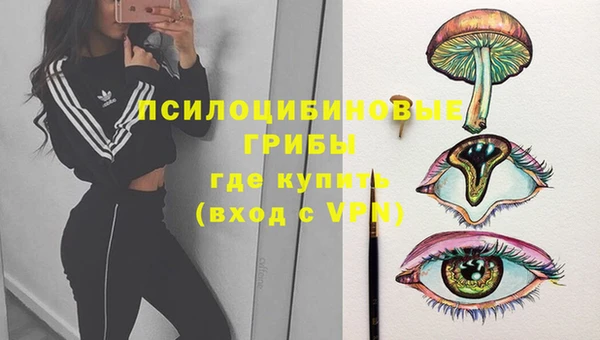 амфетамин Ельня