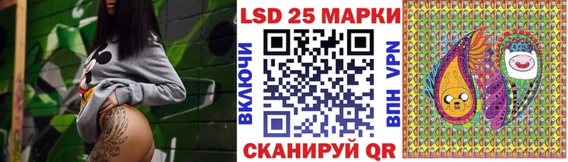 Купить закладки  Каргополь  Марки NBOMe 1,8мг 