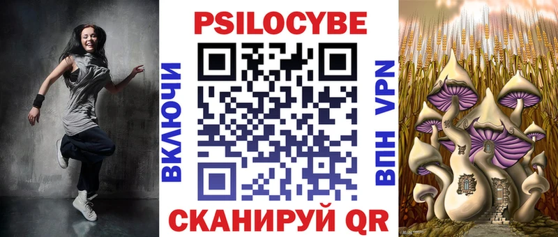 Купить где  Каргополь  Псилоцибиновые грибы Psilocybine cubensis 